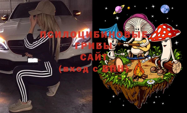 винт Верея