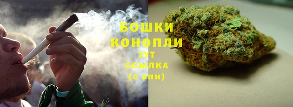 винт Верея