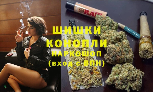 винт Верея