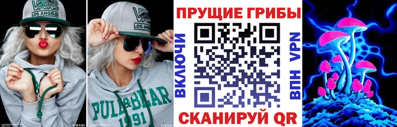 Псилоцибиновые грибы MAGIC MUSHROOMS  Купить закладки  Новоуральск 